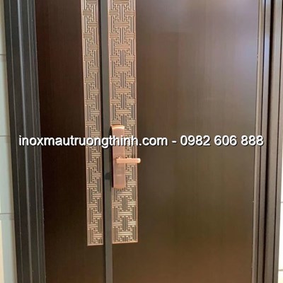 Cửa inox màu